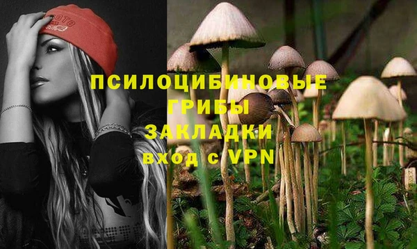 дурь Алзамай