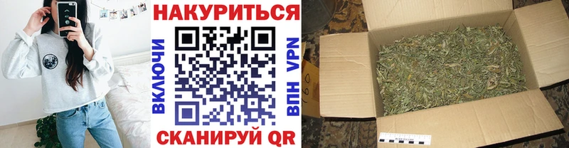 даркнет сайт  Сураж  Шишки марихуана сатива 